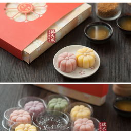 海派風(fēng)華，中西交融 沈大成花開(kāi)富貴糕點(diǎn)禮盒與西式糕點(diǎn)的精致之旅